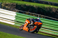 Middle Group Orange Bikes